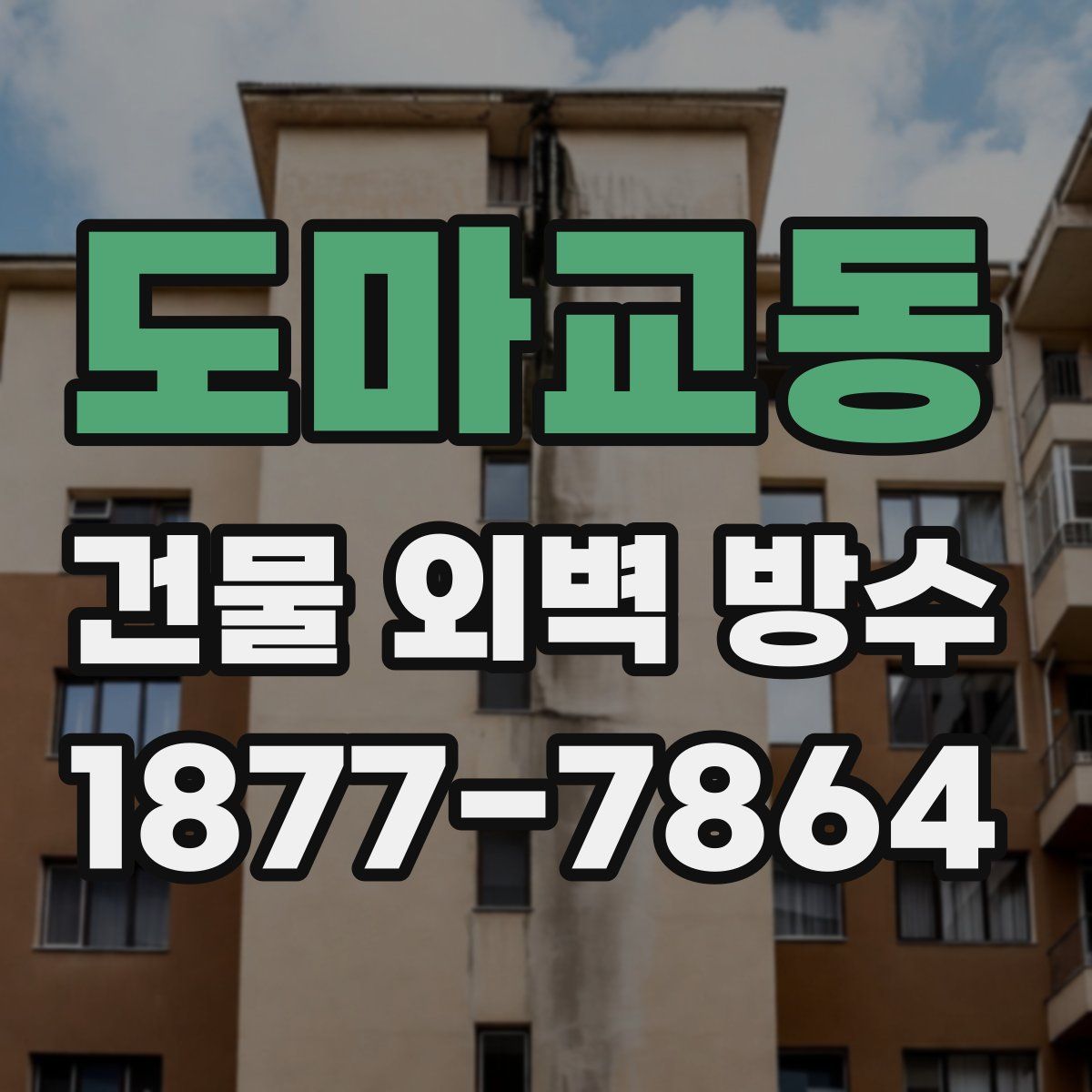 도마교동 건물 외벽 방수