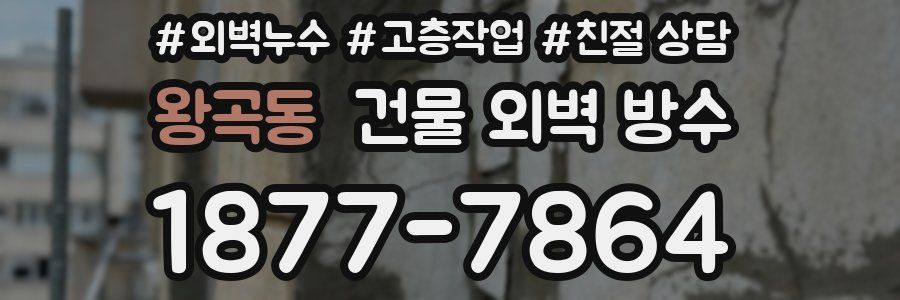 왕곡동 건물 외벽 방수