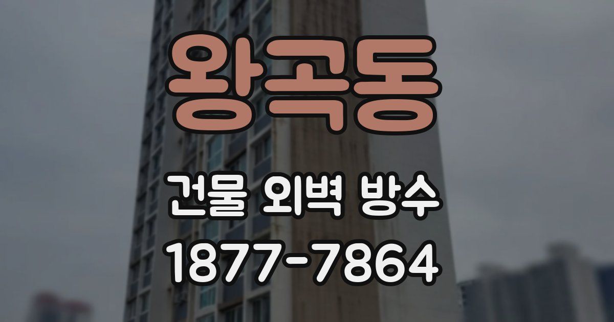 왕곡동 건물 외벽 방수