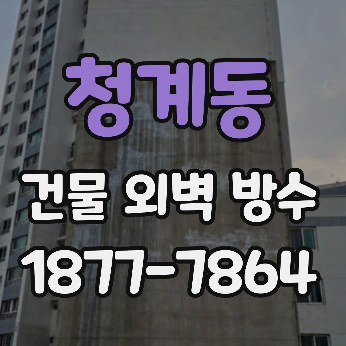 청계동 건물 외벽 방수