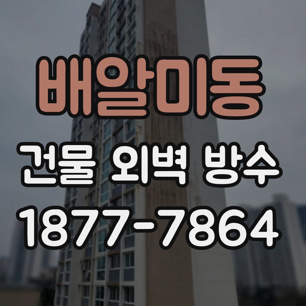 배알미동 건물 외벽 방수