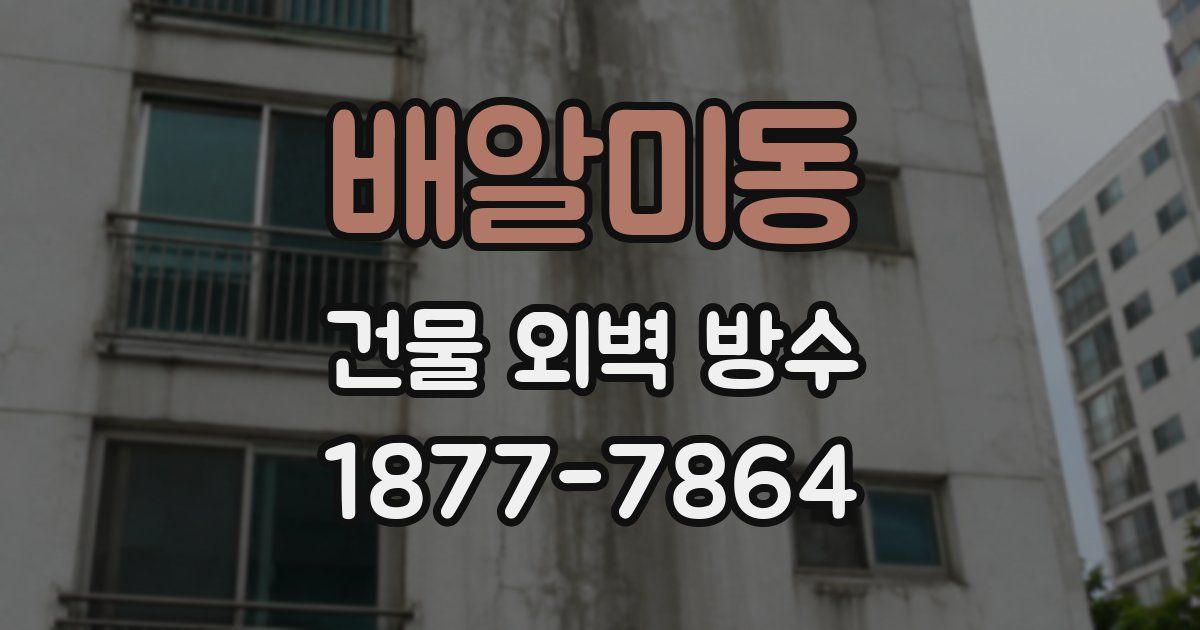 배알미동 건물 외벽 방수