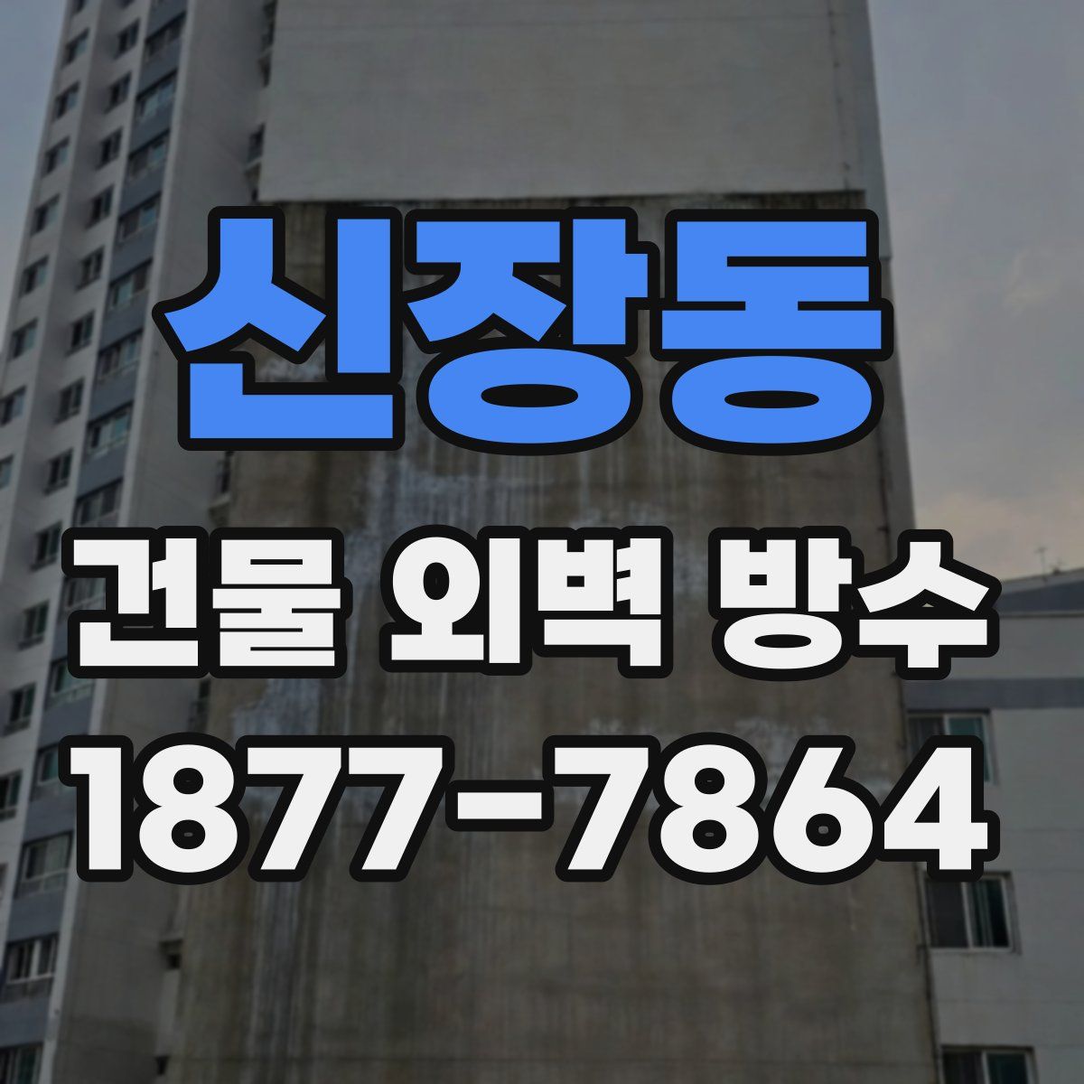 신장동 건물 외벽 방수