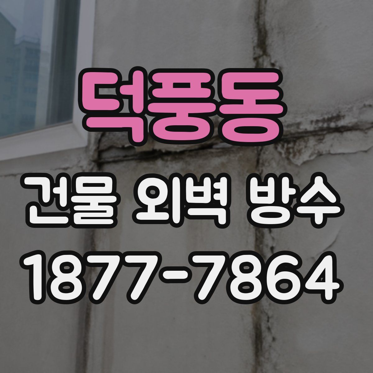 덕풍동 건물 외벽 방수