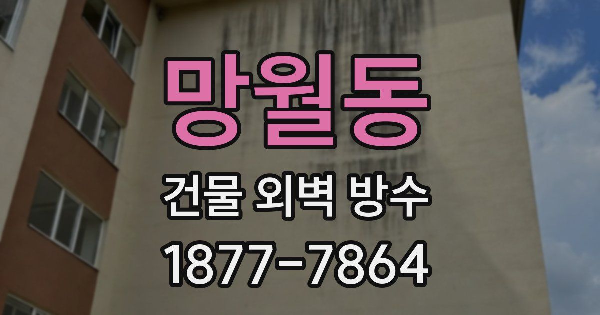 망월동 건물 외벽 방수