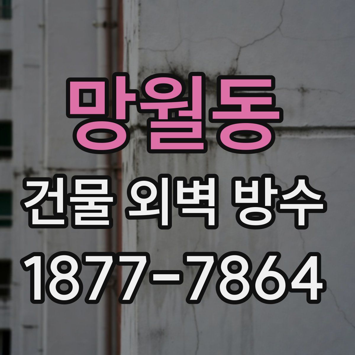 망월동 건물 외벽 방수