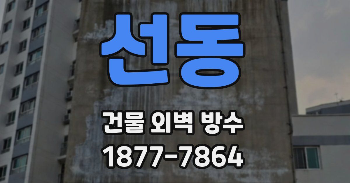 선동 건물 외벽 방수
