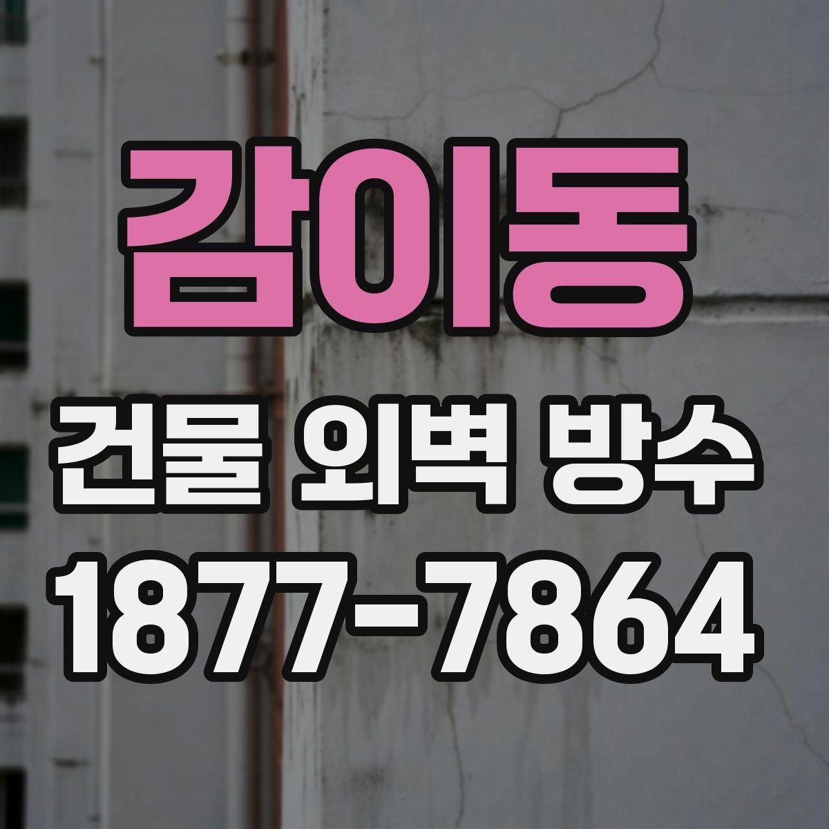 감이동 건물 외벽 방수 견적 확인 시 살펴볼 항목