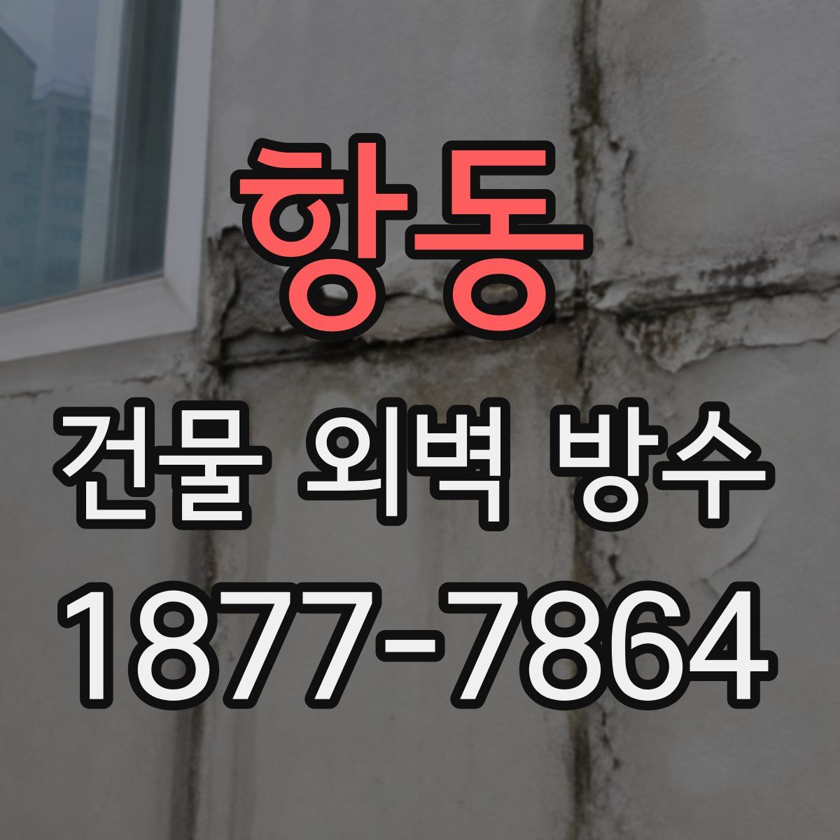 항동 건물 외벽 방수