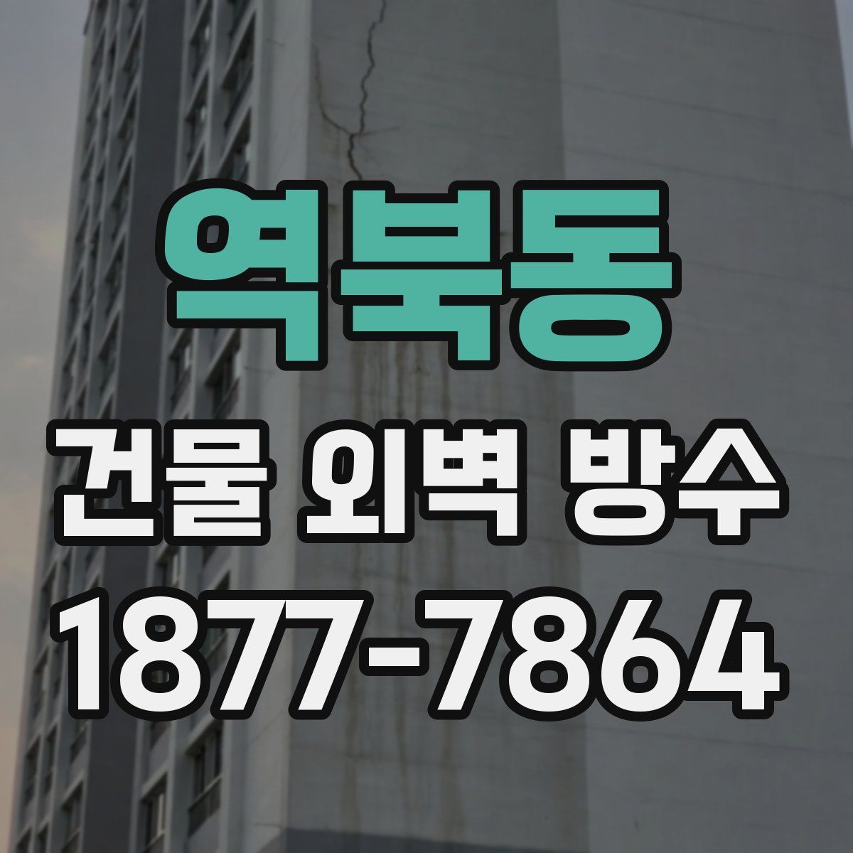 역북동 건물 외벽 방수