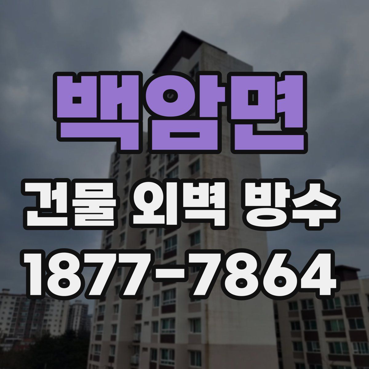백암면 건물 외벽 방수