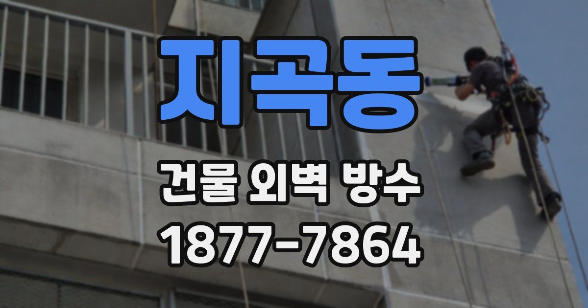 지곡동 건물 외벽 방수