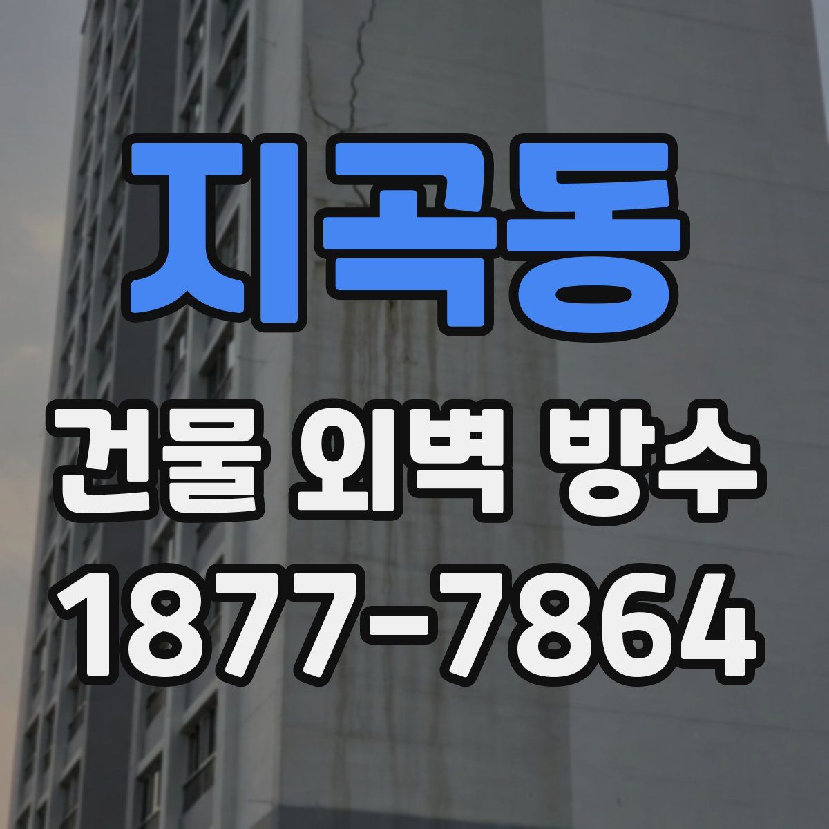 지곡동 건물 외벽 방수
