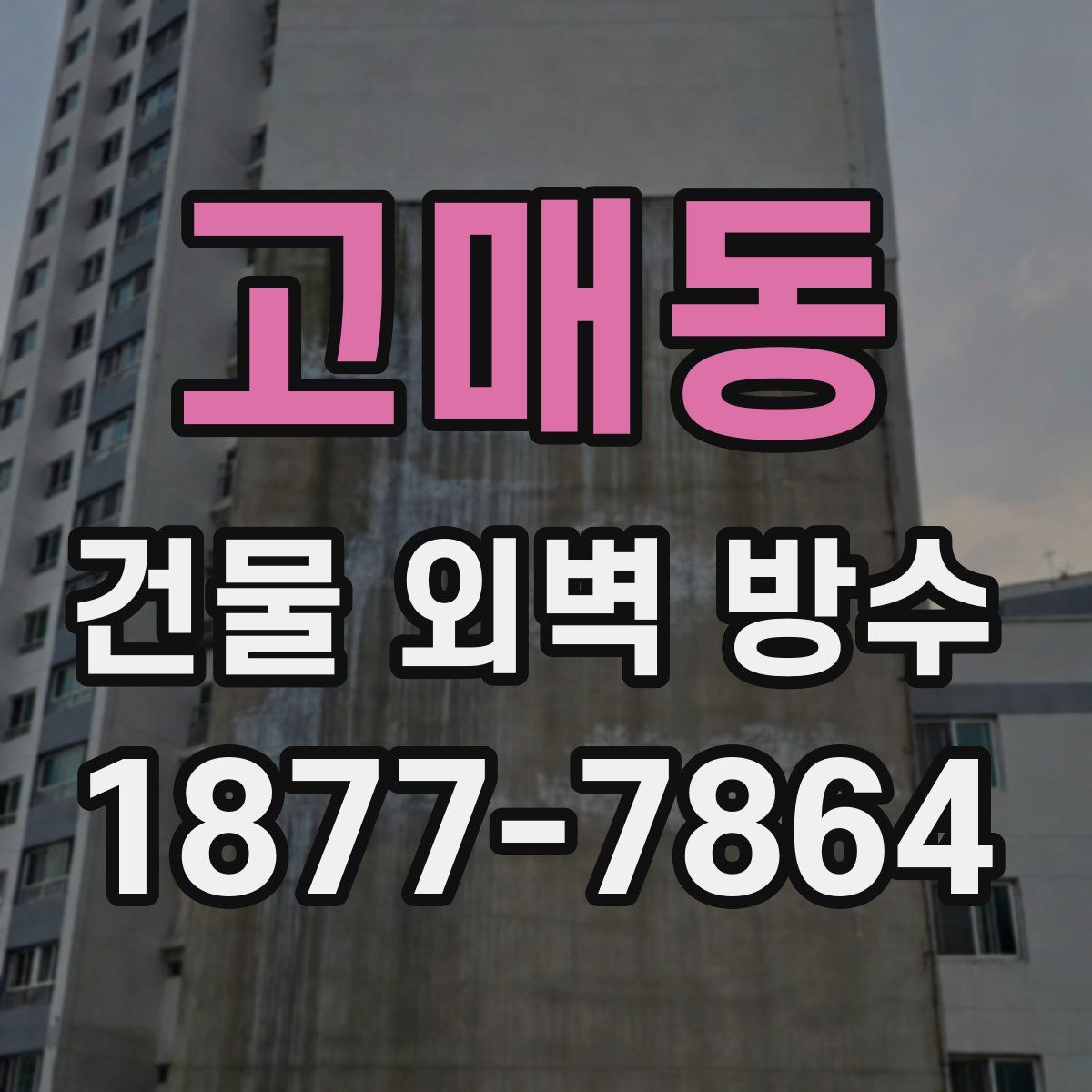 고매동 건물 외벽 방수