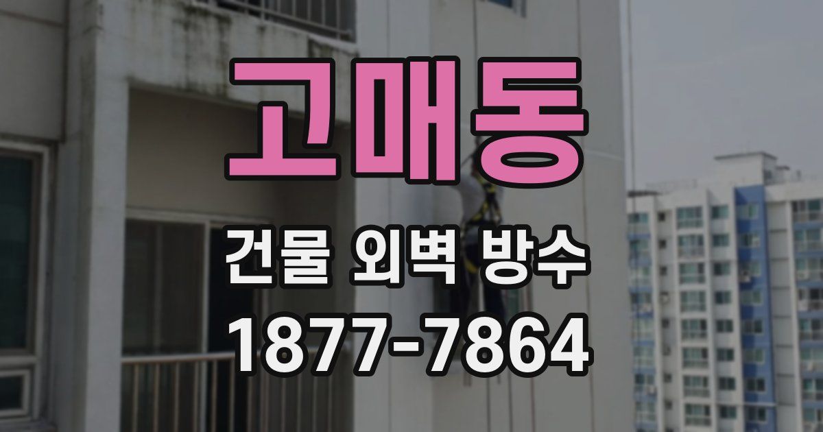 고매동 건물 외벽 방수