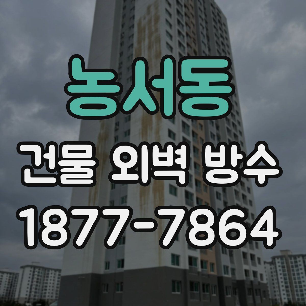 농서동 건물 외벽 방수 자주 생기는 문제와 해결 방향