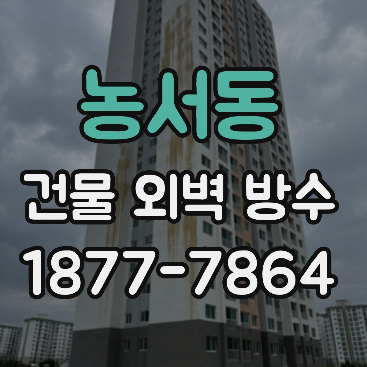 농서동 건물 외벽 방수