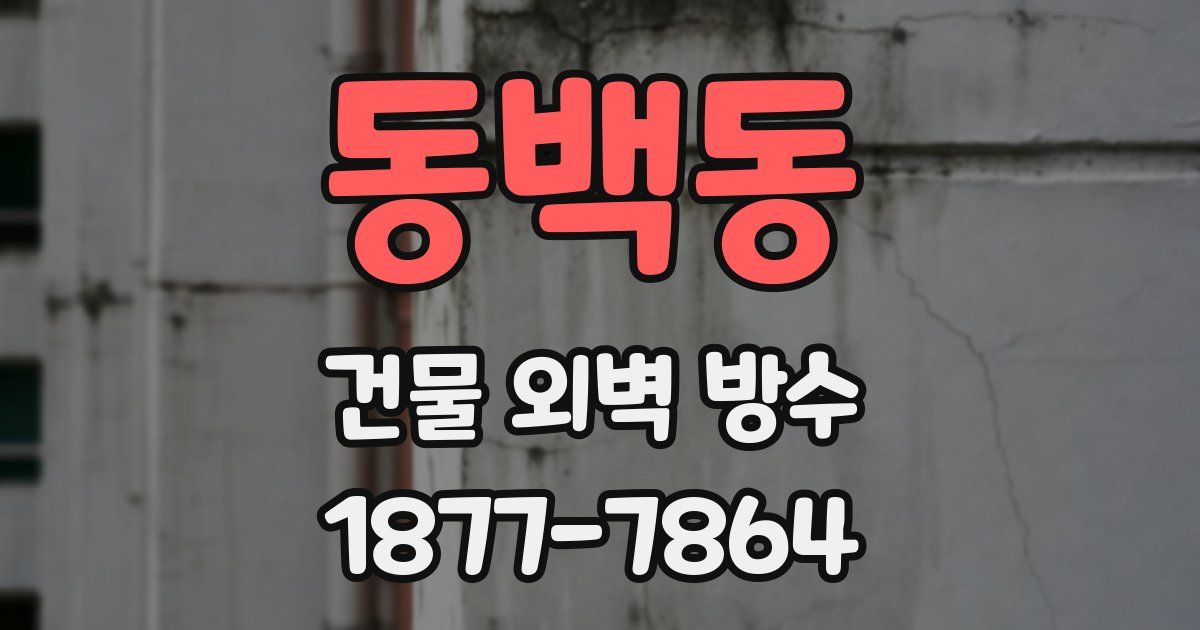 동백동 건물 외벽 방수