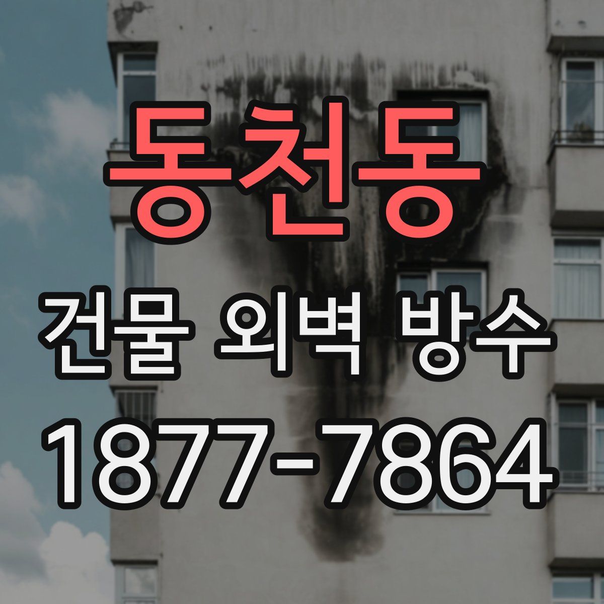 동천동 건물 외벽 방수