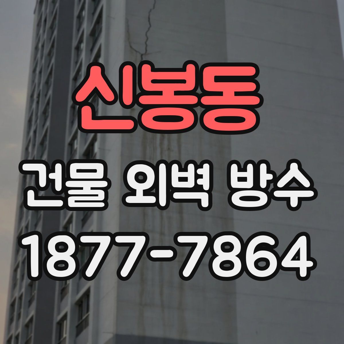 신봉동 건물 외벽 방수