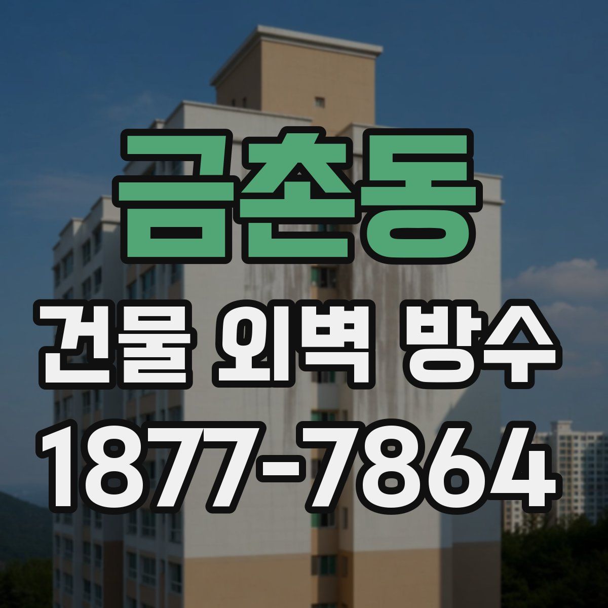 금촌동 건물 외벽 방수