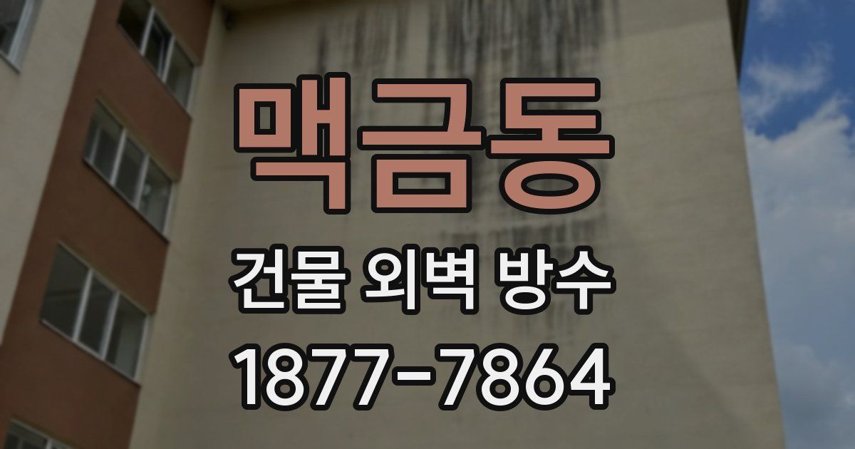 맥금동 건물 외벽 방수