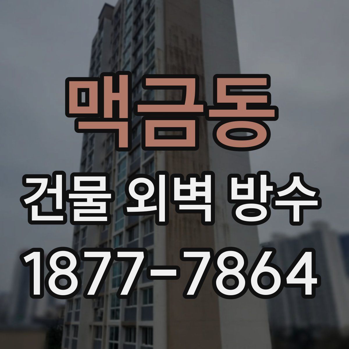 맥금동 건물 외벽 방수