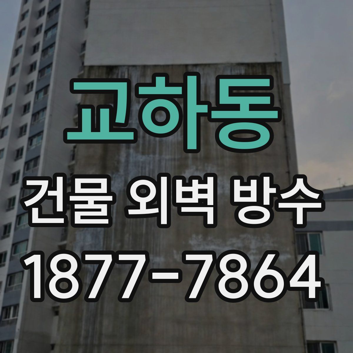교하동 건물 외벽 방수