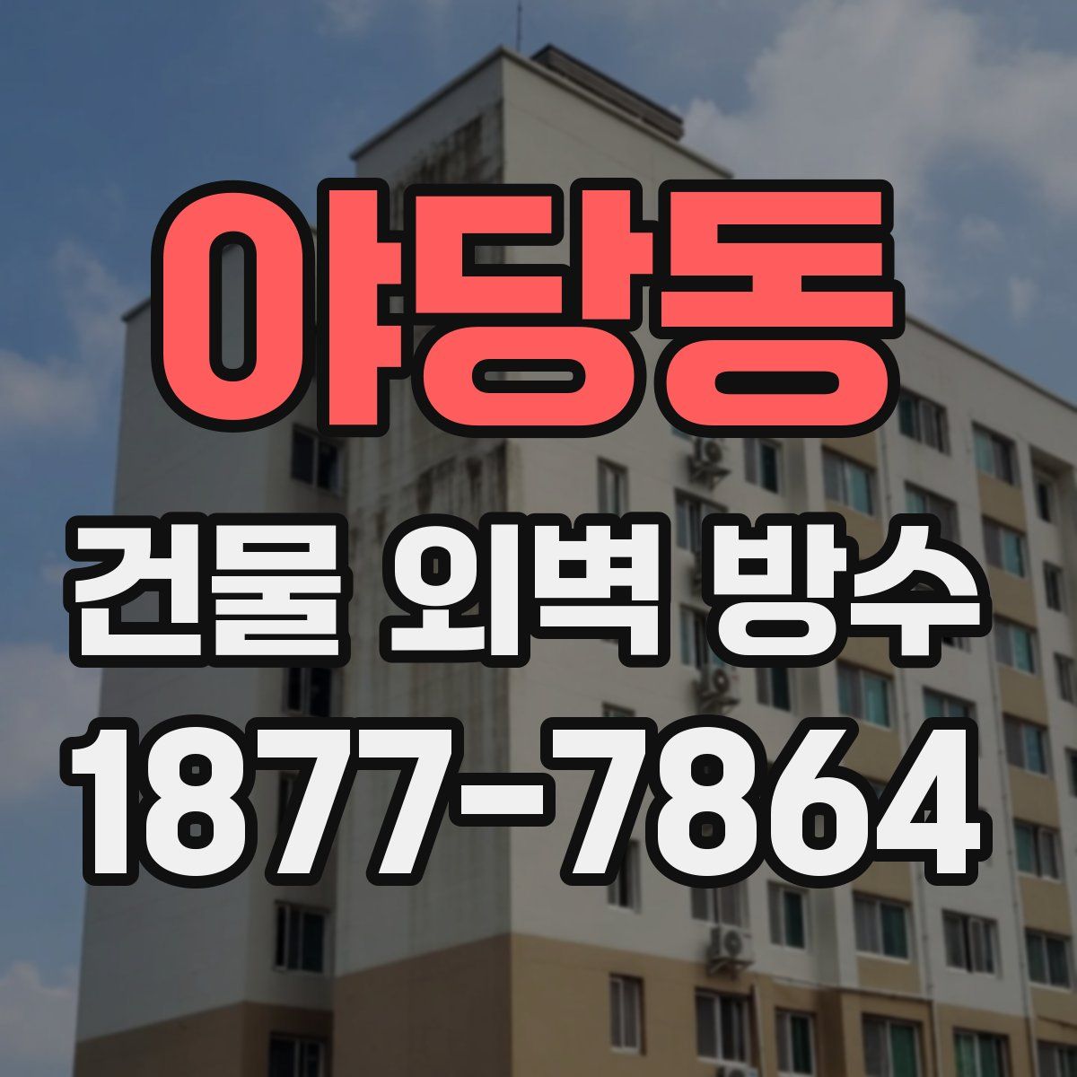 야당동 건물 외벽 방수
