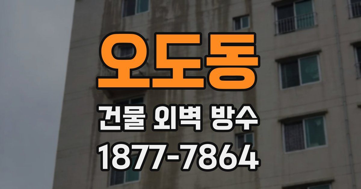 오도동 건물 외벽 방수