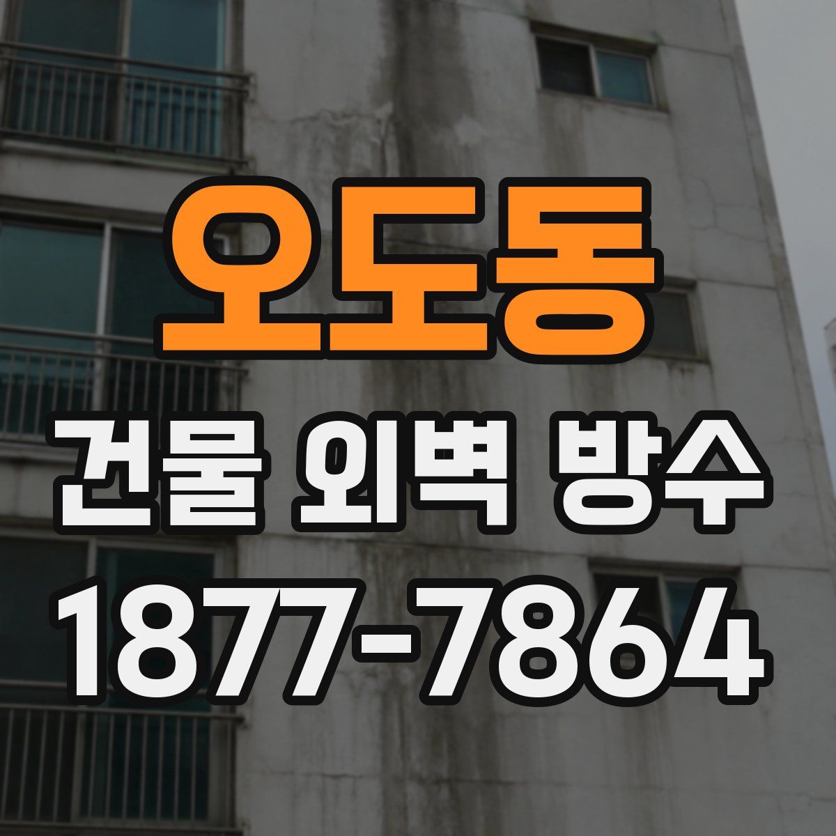 오도동 건물 외벽 방수