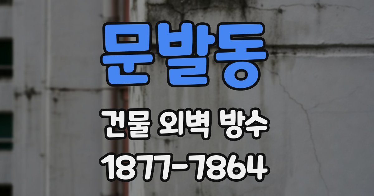 문발동 건물 외벽 방수