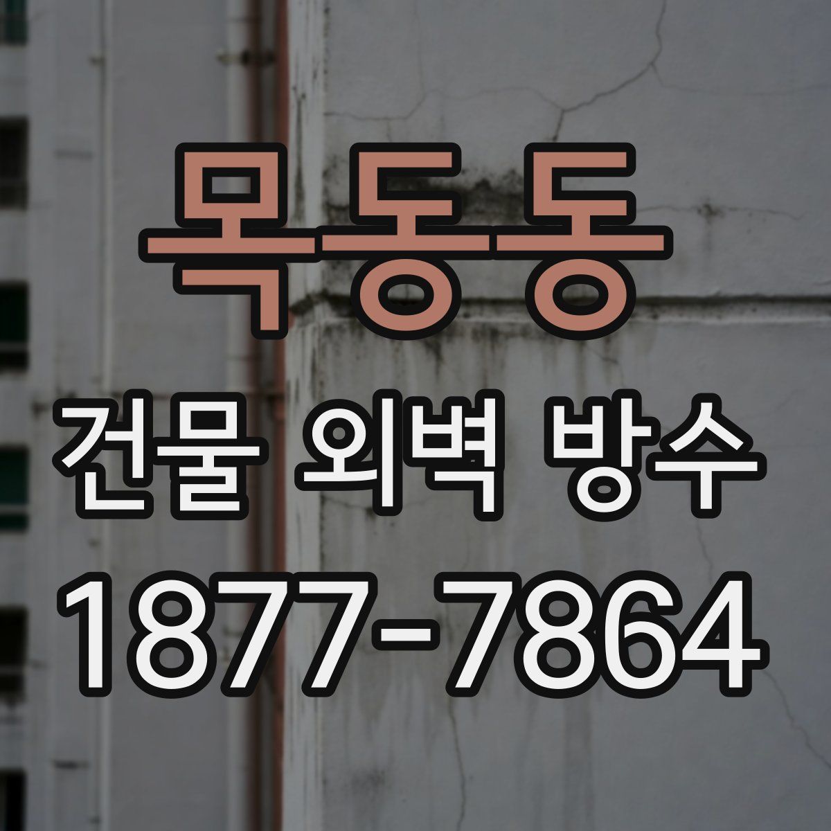 목동동 건물 외벽 방수