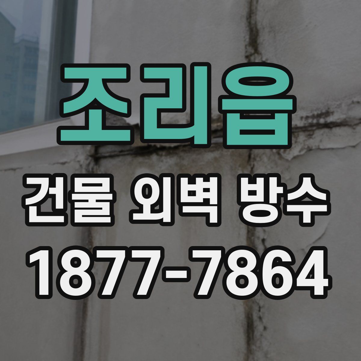 조리읍 건물 외벽 방수