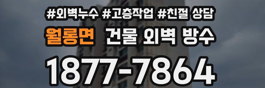 월롱면 건물 외벽 방수