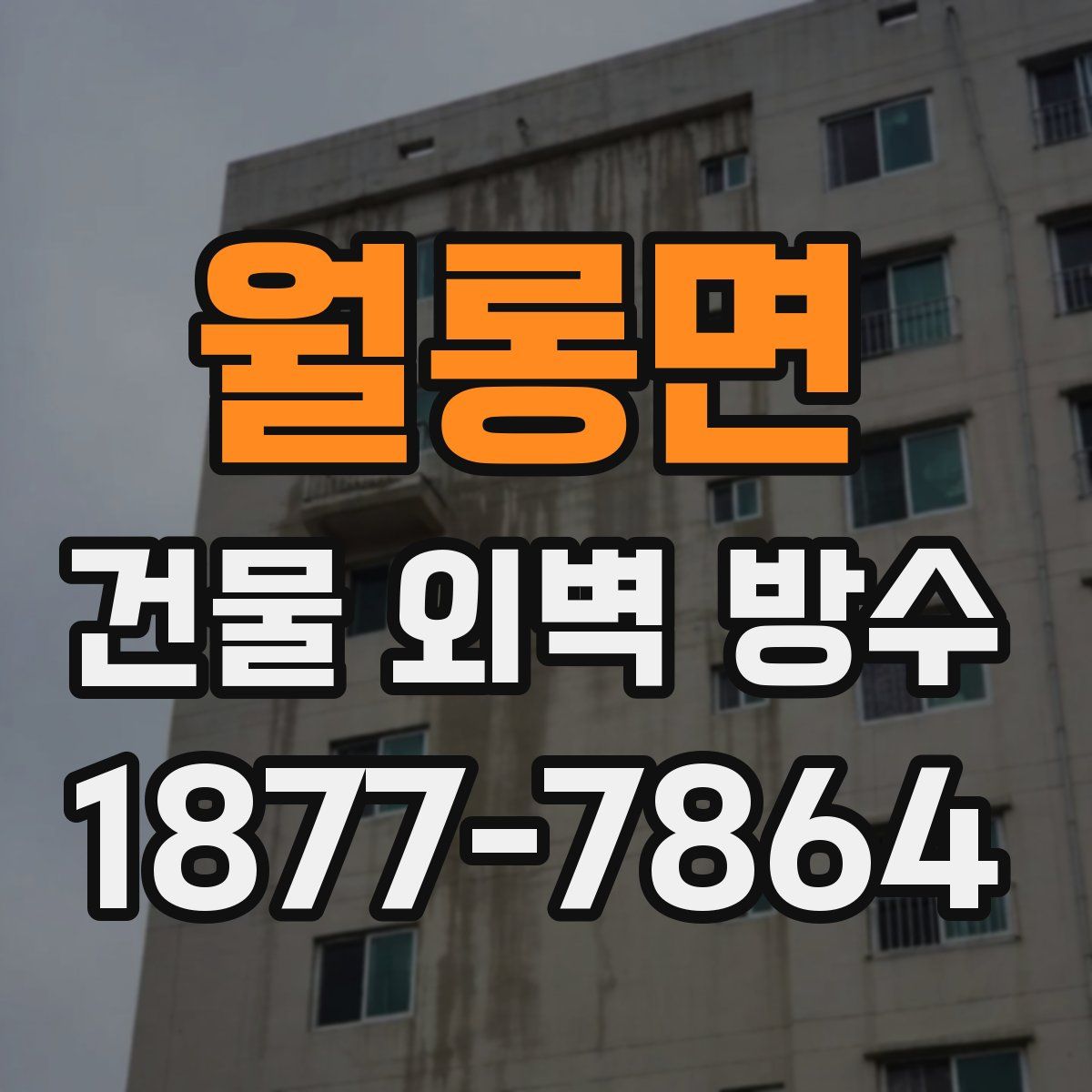 월롱면 건물 외벽 방수