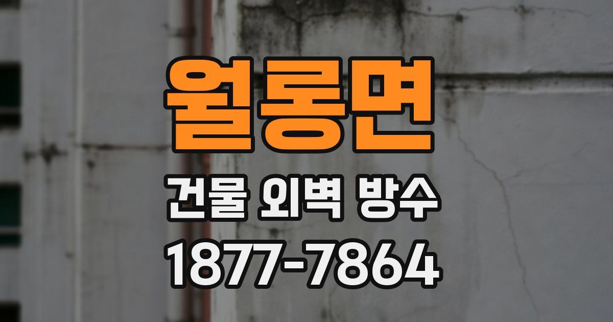 월롱면 건물 외벽 방수