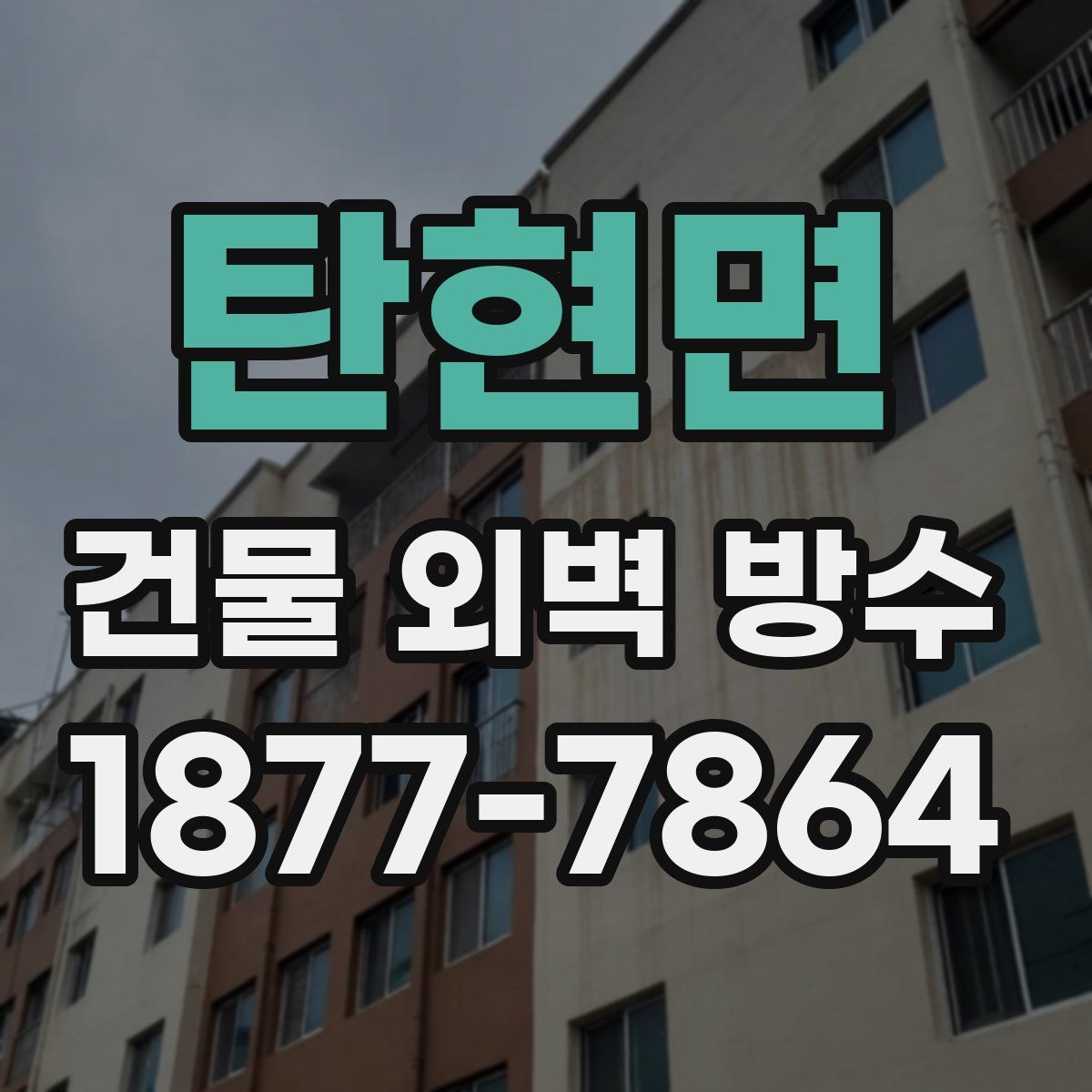탄현면 건물 외벽 방수