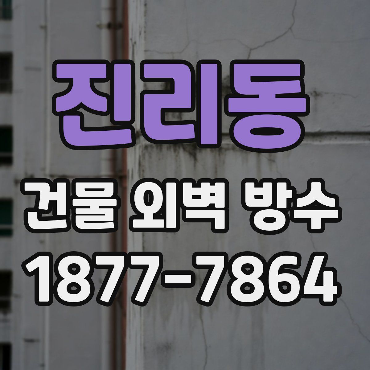 진리동 건물 외벽 방수