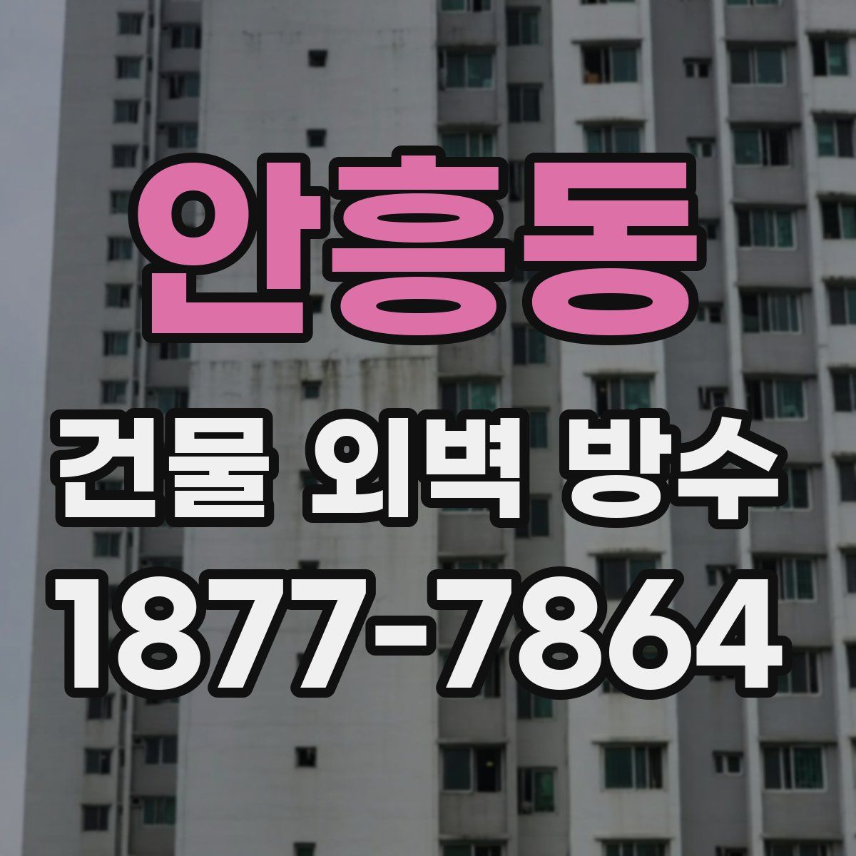 안흥동 건물 외벽 방수