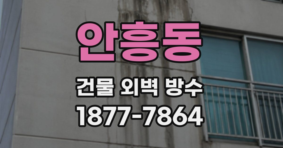 안흥동 건물 외벽 방수