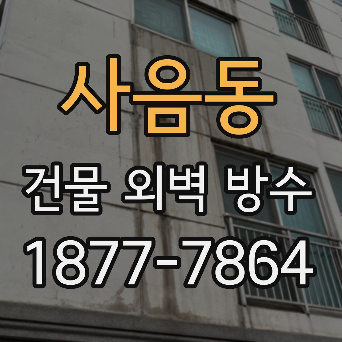 사음동 건물 외벽 방수