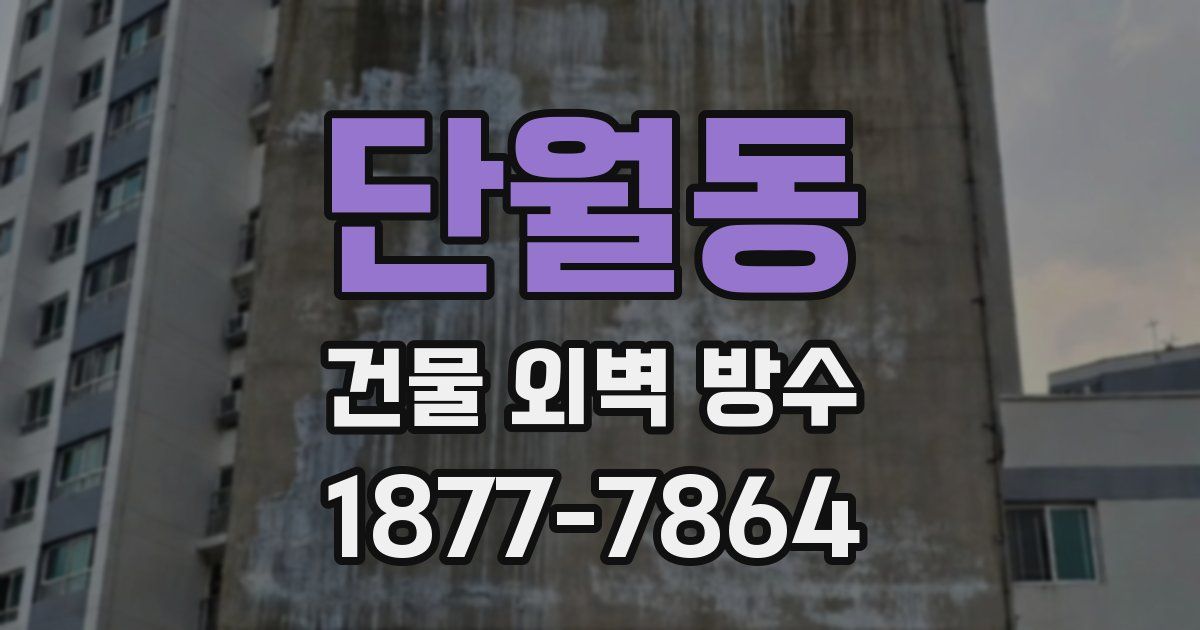 단월동 건물 외벽 방수