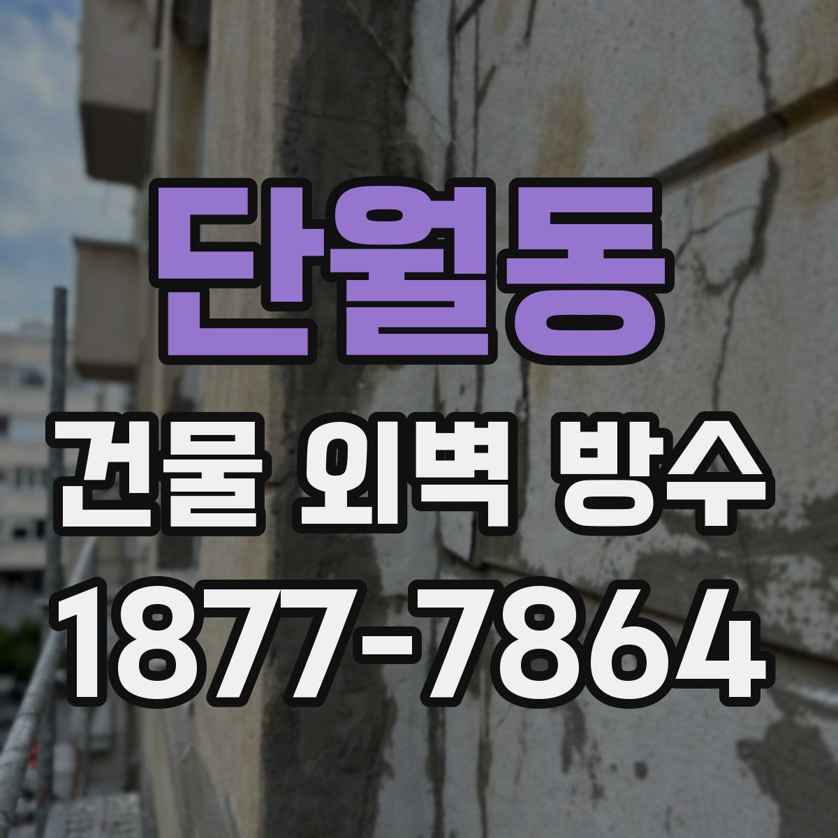 단월동 건물 외벽 방수