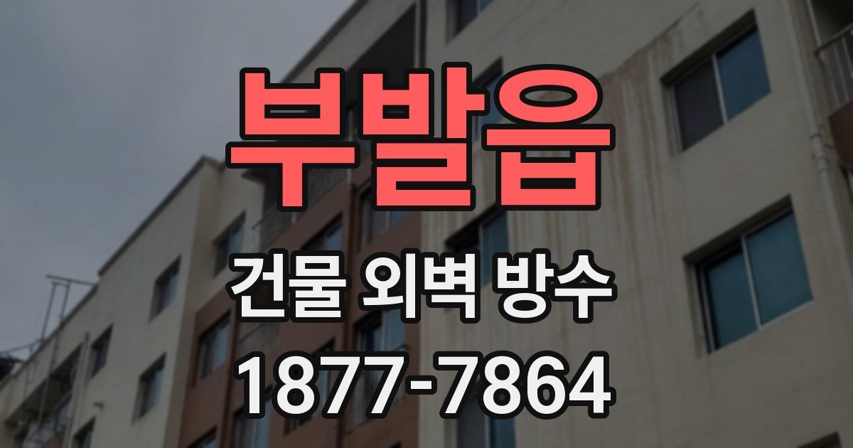 부발읍 건물 외벽 방수
