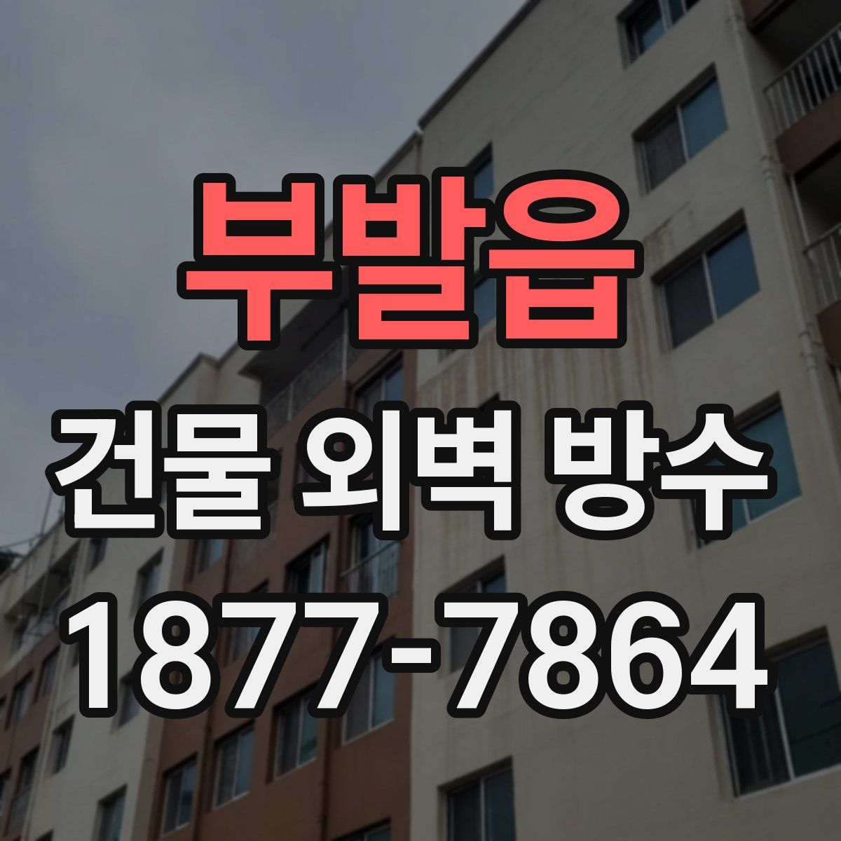 부발읍 건물 외벽 방수