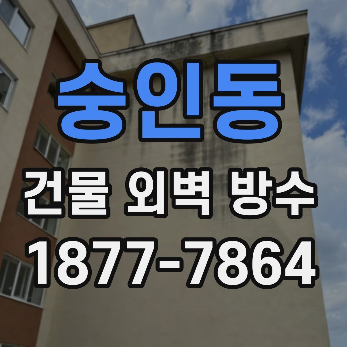 숭인동 건물 외벽 방수 진단으로 확인하는 손상 범위