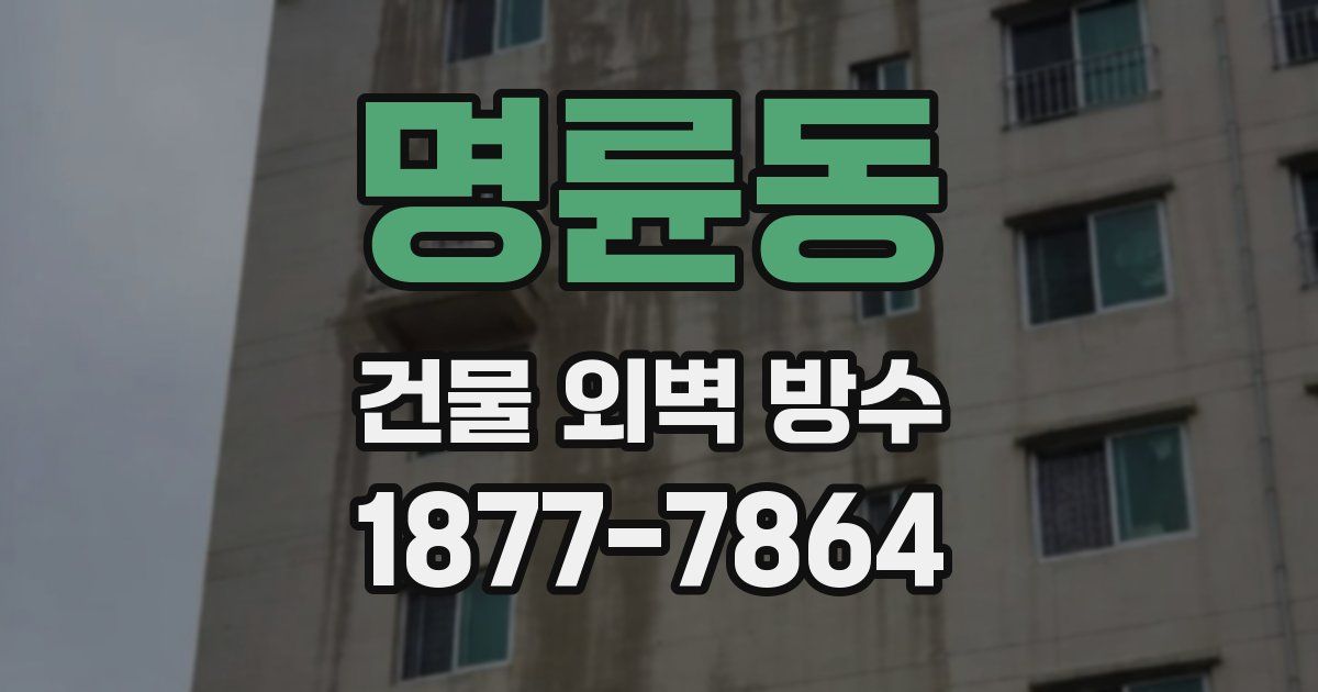명륜동 건물 외벽 방수