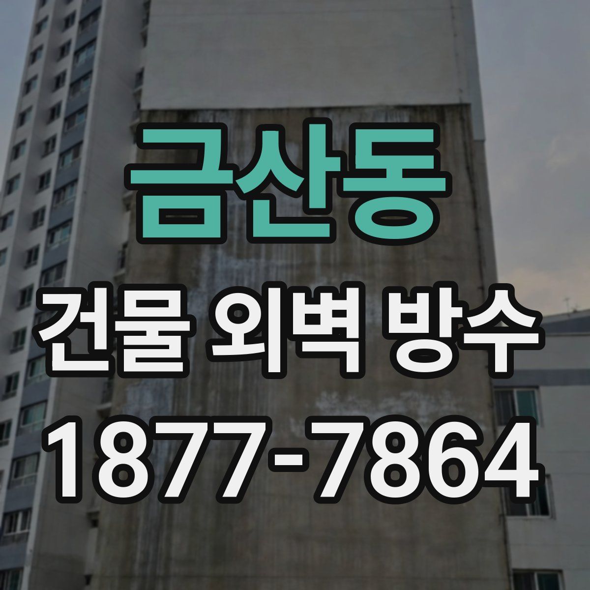 금산동 건물 외벽 방수