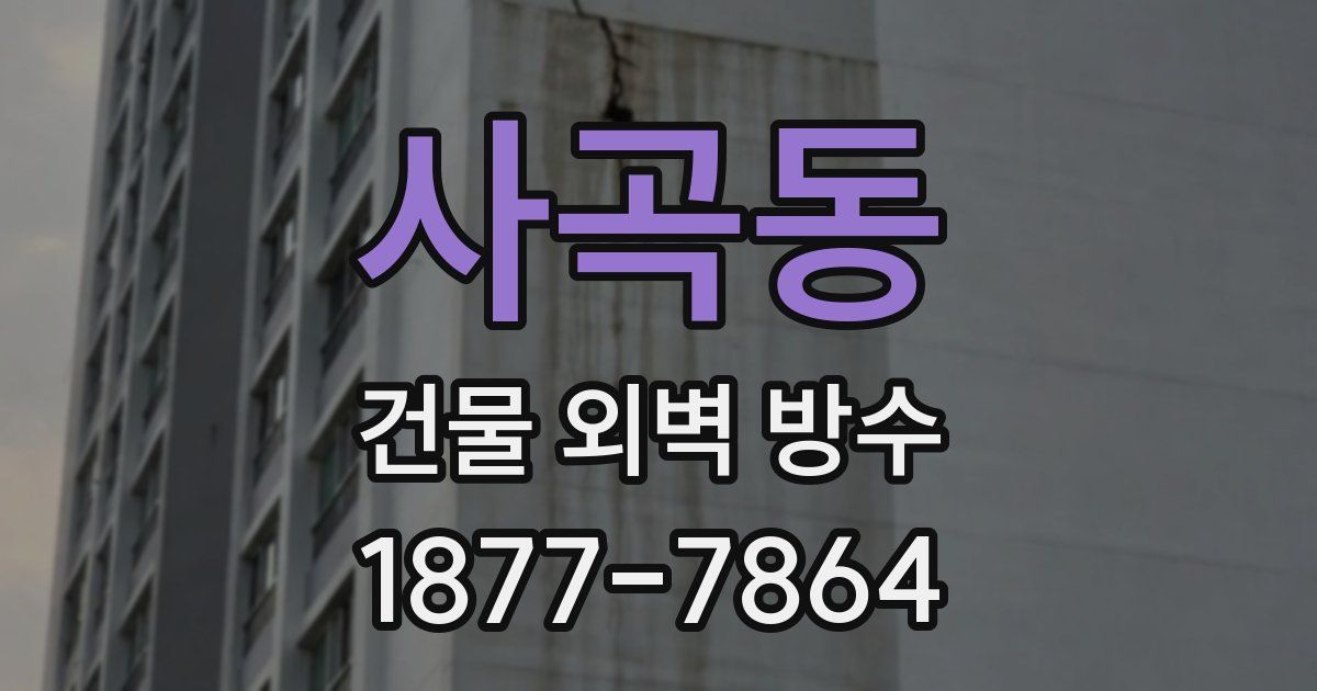 사곡동 건물 외벽 방수
